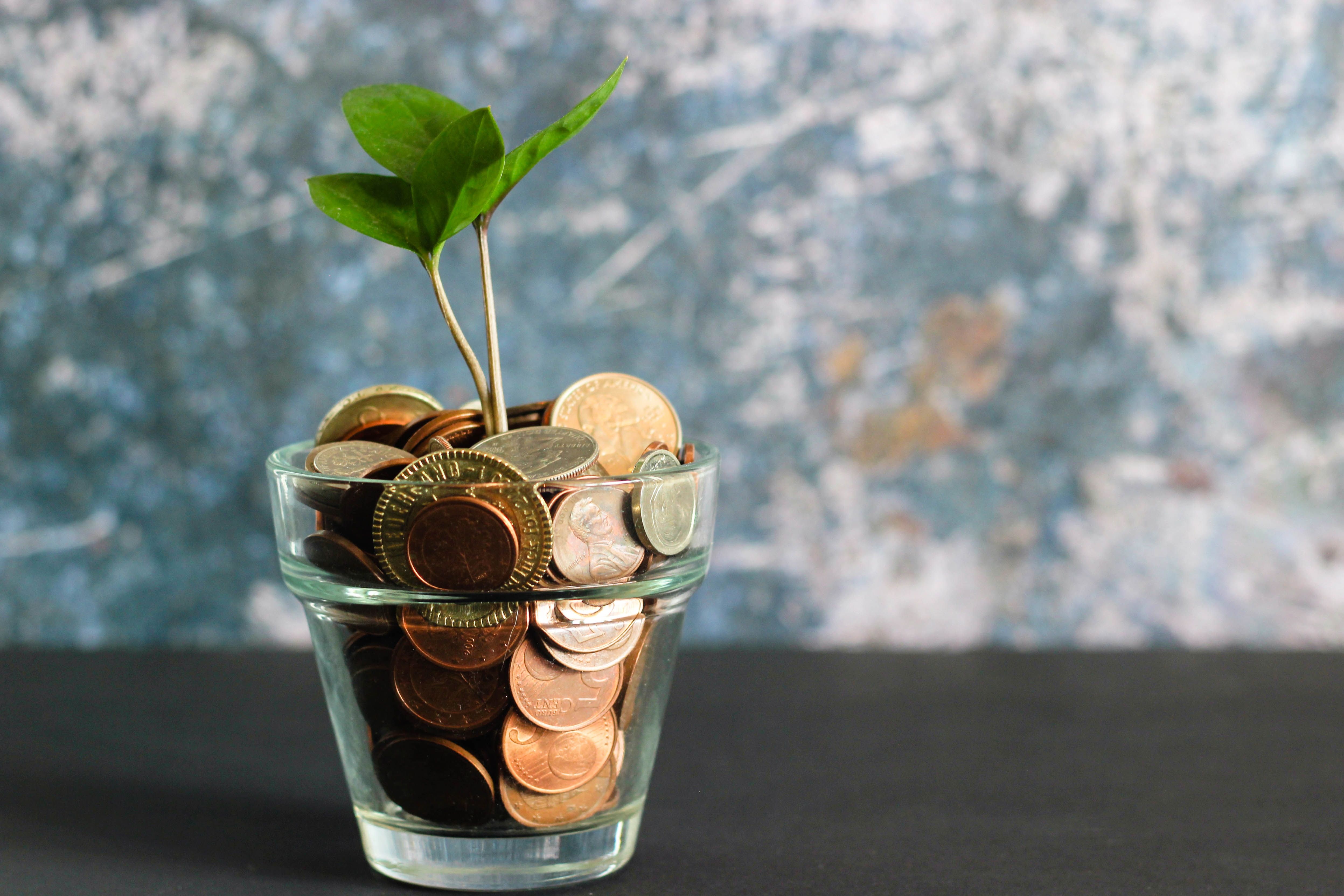 Discover effective strategies for maximizing your tax savings in Cyprus